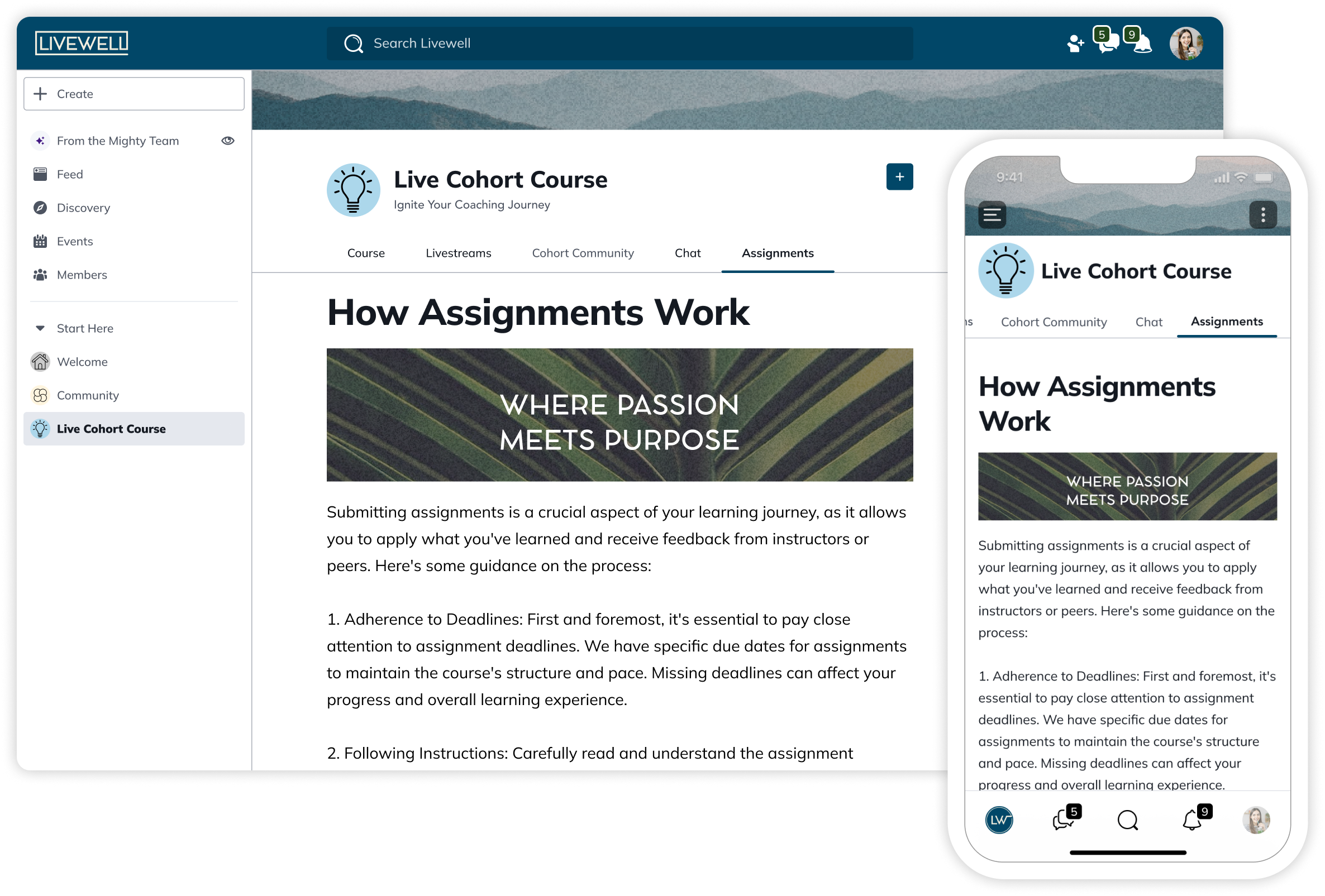 MN - Graphics - 2024 - Page